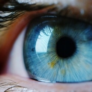 blue-eye